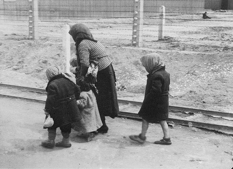Hungarian Jews on their way to the gas chambers in Birkenau in May 1944. In the background is camp sector BIIc, from where Éva was allegedly dragged away to be killed in October. (Photo: Hungarian National Museum/Yad Vashem)